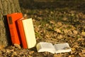 Stack of books and Open hardback book on blurred nature landscape backdrop. Copy space, back to school. Education Royalty Free Stock Photo