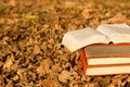 Stack of books and Open hardback book on blurred nature landscape backdrop. Copy space, back to school. Education Royalty Free Stock Photo