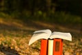 Stack of books and Open hardback book on blurred nature landscape backdrop. Copy space, back to school. Education Royalty Free Stock Photo