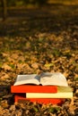 Stack of books and Open hardback book on blurred nature landscape backdrop. Copy space, back to school. Education Royalty Free Stock Photo