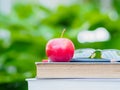 Stack of books, pencil, glasses and red apple Royalty Free Stock Photo