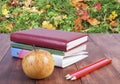 stack of books, pencils and yellow apple. Series back to school. Royalty Free Stock Photo