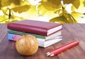 Stack of books, pencils and yellow apple. Series back to school. Royalty Free Stock Photo