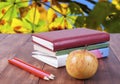 Stack of books, pencils and yellow apple. Series back to school. Royalty Free Stock Photo