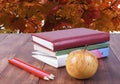 stack of books, pencils and yellow apple. Series back to school. Royalty Free Stock Photo