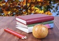 stack of books, pencils and yellow apple. Series back to school. Royalty Free Stock Photo