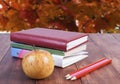 stack of books, pencils and yellow apple. Series back to school. Royalty Free Stock Photo