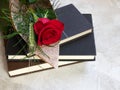 Stack of books and red rose with ear of corn, traditional Sant Jordi gift, Sant Jordi\'s day. Copy space