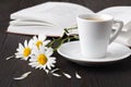 Stack of books with small bunch of daisies Royalty Free Stock Photo