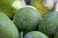 Stack of Breadfruits on a market stall