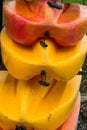 Stack of brightly colored kayaks Royalty Free Stock Photo