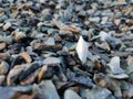 Stack of broken stones.Big pile of broken Rocks and Boulders.Pile stack of huge natural granite stone.Stack of Crushed Stones in Royalty Free Stock Photo