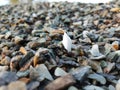 Stack of broken stones.Big pile of broken Rocks and Boulders.Pile stack of huge natural granite stone.Stack of Crushed Stones in Royalty Free Stock Photo