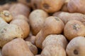 Stack of Butternut Squash on a market stall Royalty Free Stock Photo