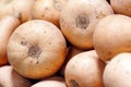 Stack of Butternut Squash on a market stall Royalty Free Stock Photo