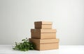 Stack of cardboard boxes with green plant. Minimalist product packaging for shipping and delivery. Eco friendly storage solution Royalty Free Stock Photo