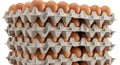 Stack of cardboard egg cartons filled with fresh brown and white eggs ready for sale Royalty Free Stock Photo