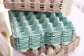 Cardboard packaging for eggs Royalty Free Stock Photo