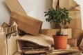 Stack of Cardboard Waste and Ficus potted plant at home. Concepts of Paper Recycling and Waste Sorting and Saving Trees Royalty Free Stock Photo