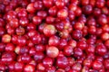 Stack of Cattley guavas on a market stall