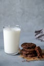 Stack of Chocolate chip cookie and glass of milk. On a gray background Royalty Free Stock Photo