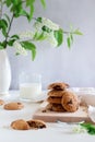 A stack of chocolate chip cookies with milk and some spring blooming branches