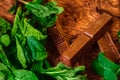 Stack of chocolate pieces with a leaf of mint on wooden background Royalty Free Stock Photo