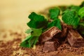 Stack of chocolate pieces with a leaf of mint on wooden background Royalty Free Stock Photo