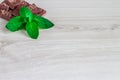 Stack of chocolate slices with mint leaf on a wooden table