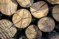 stack of chopped fire wood Royalty Free Stock Photo