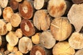 Stack of chopped firewood as background, closeup Royalty Free Stock Photo