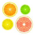 Stack of citrus fruit slices. Royalty Free Stock Photo