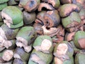 Stack of coconut shells Royalty Free Stock Photo