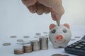 Stack coin with hand drop the coin into piggy bank. Financial Royalty Free Stock Photo