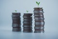 Stack of coins with trees growing on top for business and financial background. Savings and Accounts, Finance Banking Business Royalty Free Stock Photo