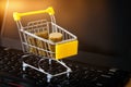 stack of coins in a trolley on a laptop keyboard Royalty Free Stock Photo