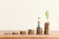 stack of coins with youg growing plant. financial success and managament concept Royalty Free Stock Photo