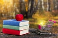 Stack of colorful books and an apple on the old wooden table in a dark forest at sunset. Shopping cart and light bulb.