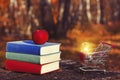 Stack of colorful books and an apple on the old wooden table in a dark forest at sunset. Shopping cart and light bulb.