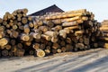 Stack of construction raw timber in sawmill yard