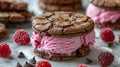 Stack of Cookies With Ice Cream and Raspberries Royalty Free Stock Photo