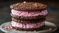 Stack of Cookies With Ice Cream and Raspberries Royalty Free Stock Photo