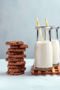 Stack of cookies with milk