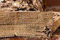 Stack of corrugated paper eaten by termite Royalty Free Stock Photo