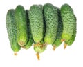 Stack of cucumbers with dry flowers isolated over white Royalty Free Stock Photo