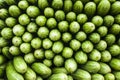 Stack of cucumbers Royalty Free Stock Photo