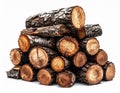Stack of Cut Firewood Logs with White Background and Visible Wood Grain Royalty Free Stock Photo