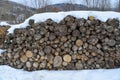 Stack of cut wood under the snow Royalty Free Stock Photo