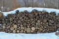 Stack of cut wood under the snow Royalty Free Stock Photo