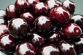 Dark sweet cherries Royalty Free Stock Photo